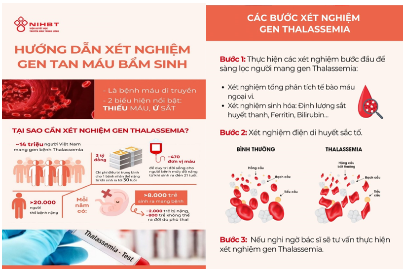 NGÀY THALASSEMIA THẾ GIỚI 8/5/2026: SÀNG LỌC SỚM - CHÌA KHÓA VÀNG BẢO VỆ CHẤT LƯỢNG GIỐNG NÒI